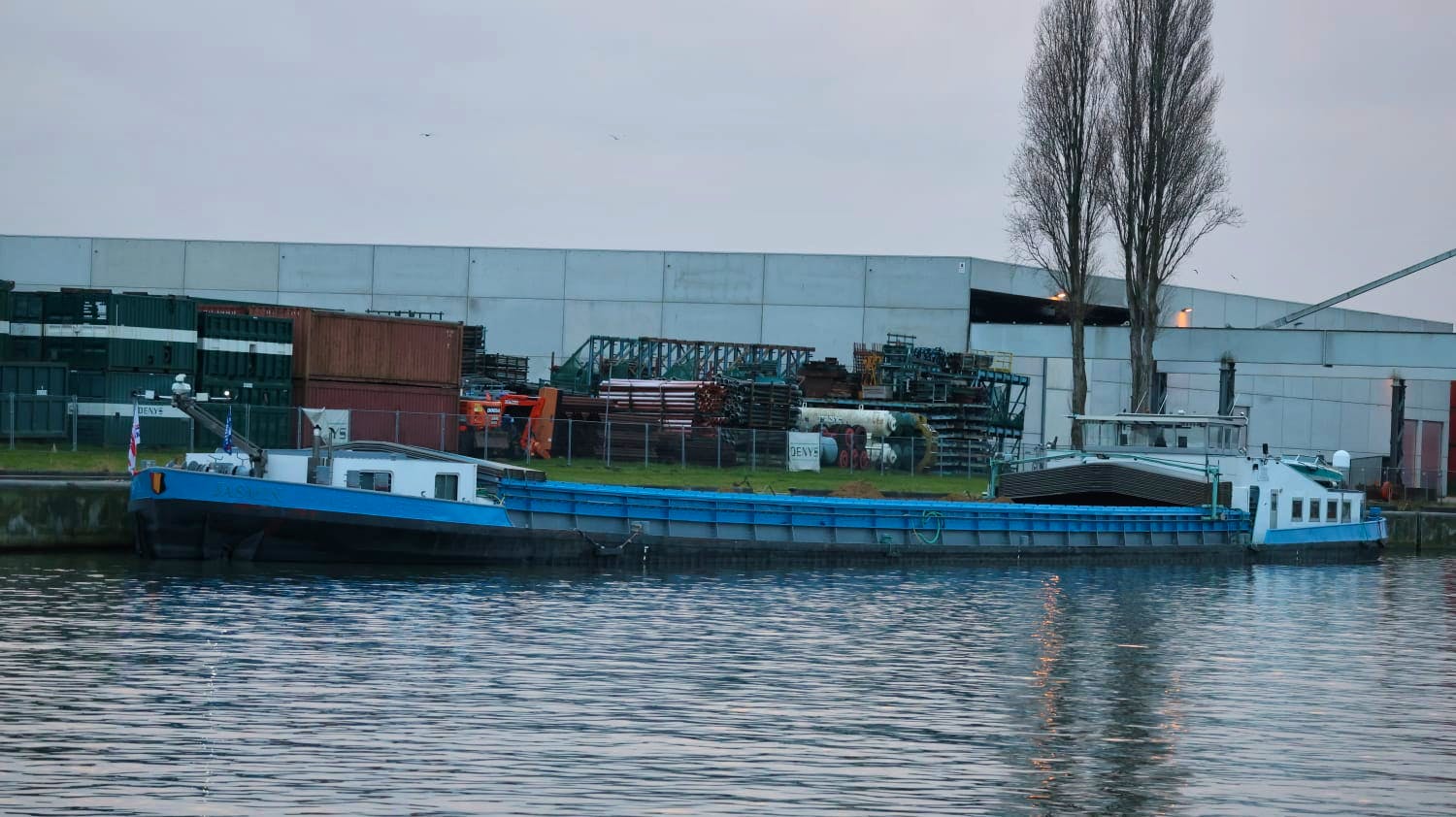 Jasmin — thumbnail 2